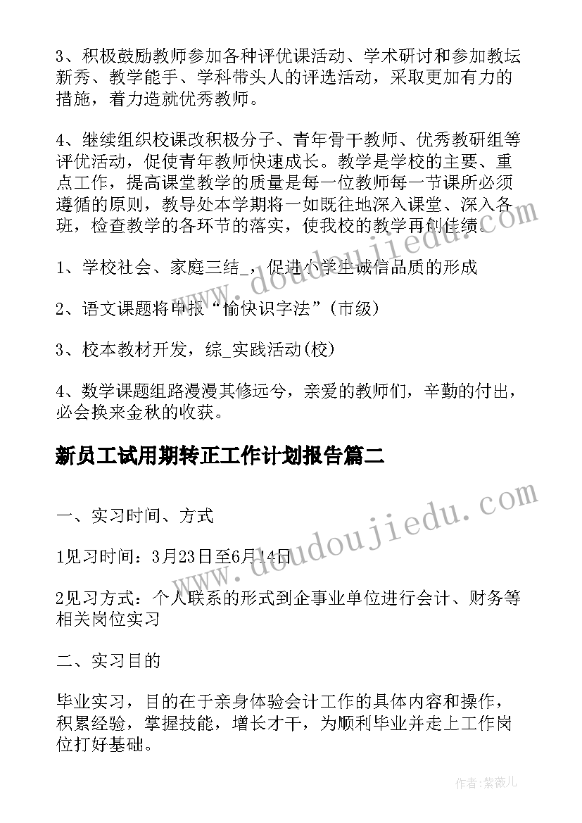 新员工试用期转正工作计划报告(大全8篇)