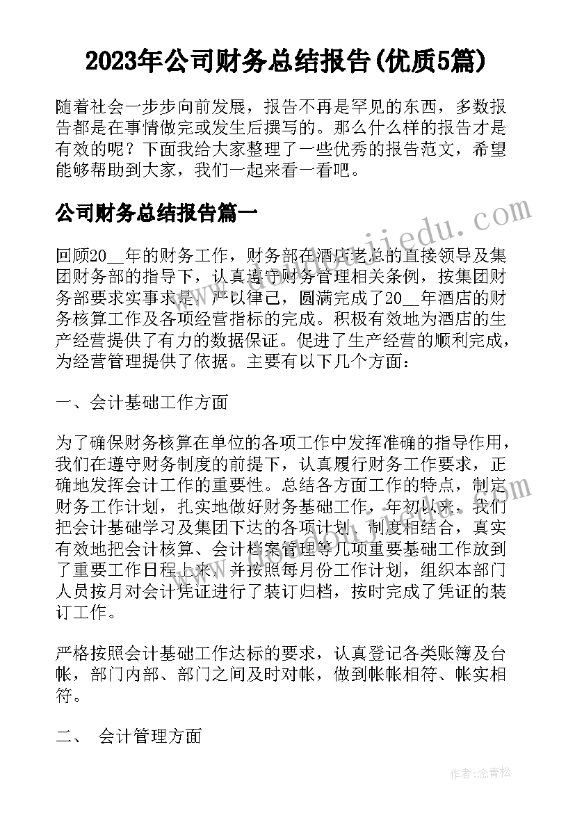 2023年公司财务总结报告(优质5篇)