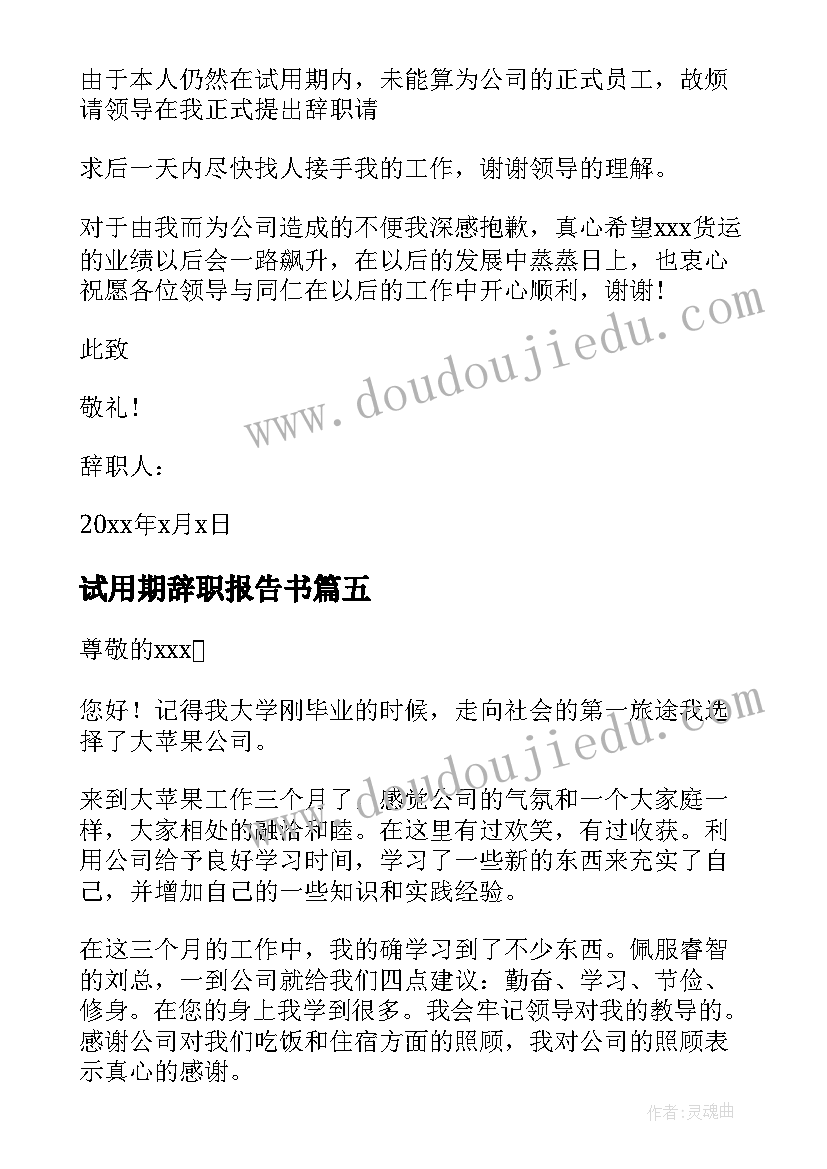 2023年试用期辞职报告书(精选5篇)