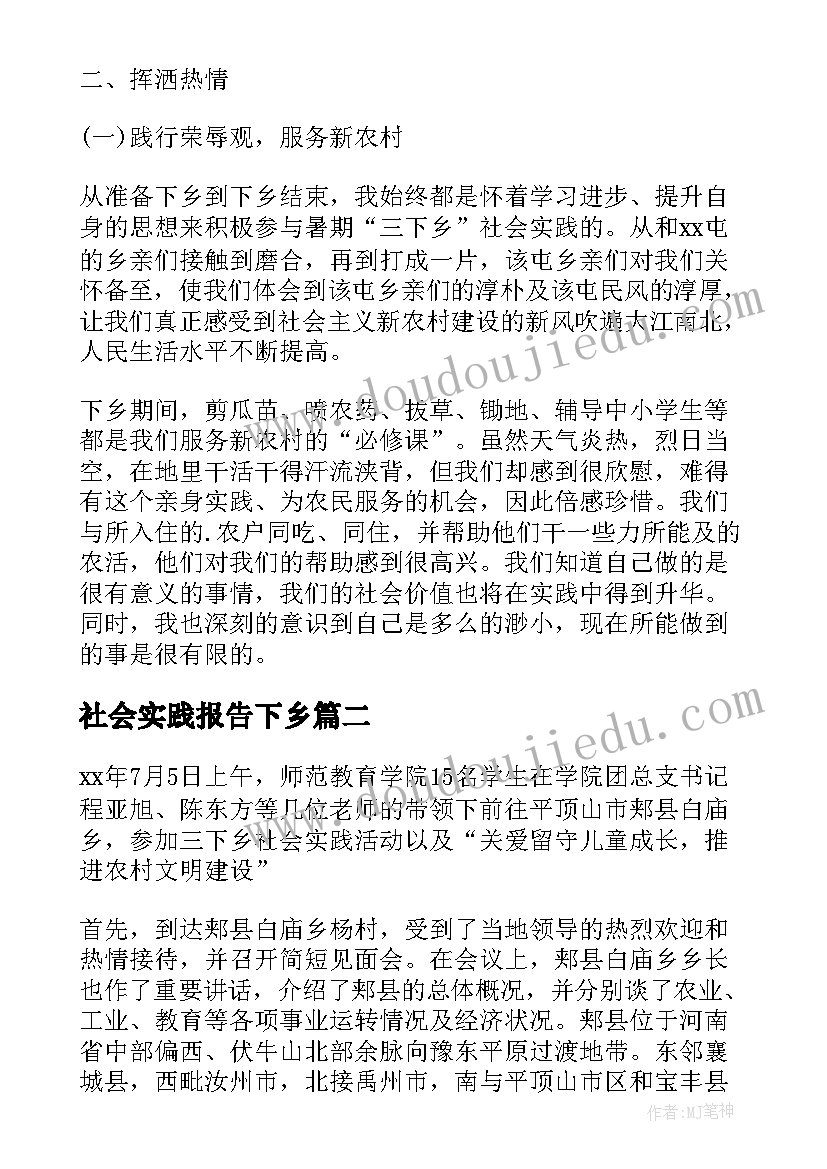 最新社会实践报告下乡(优质9篇)