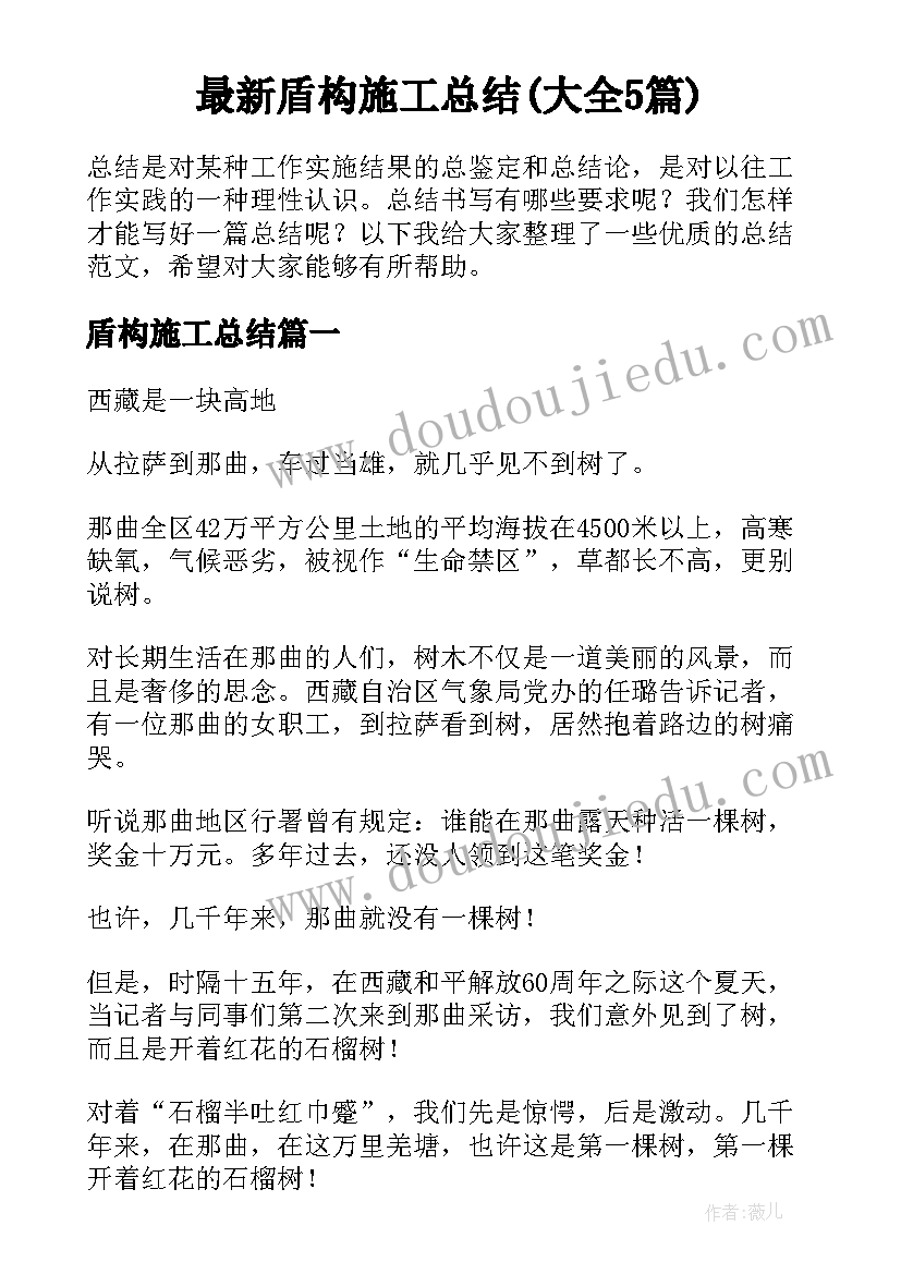 最新盾构施工总结(大全5篇)