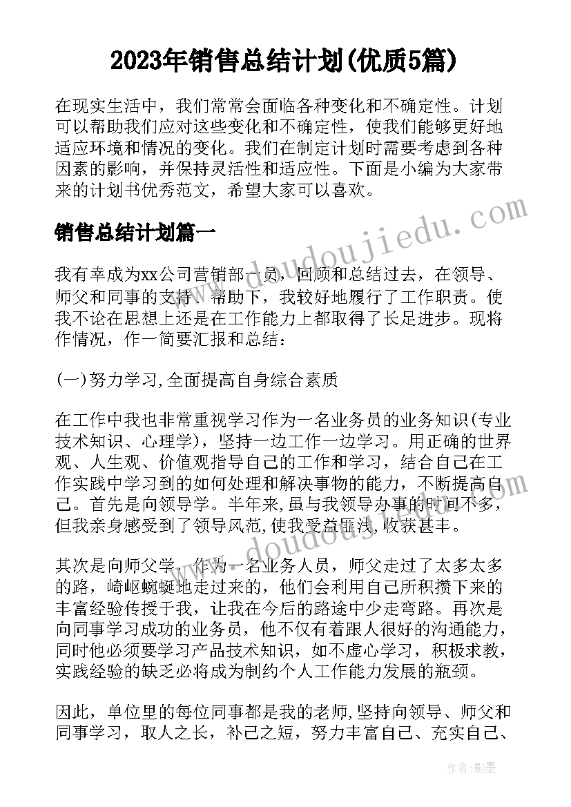 2023年销售总结计划(优质5篇)