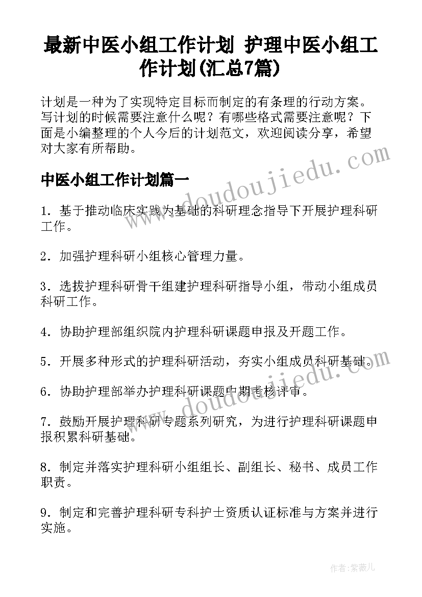 最新中医小组工作计划 护理中医小组工作计划(汇总7篇)