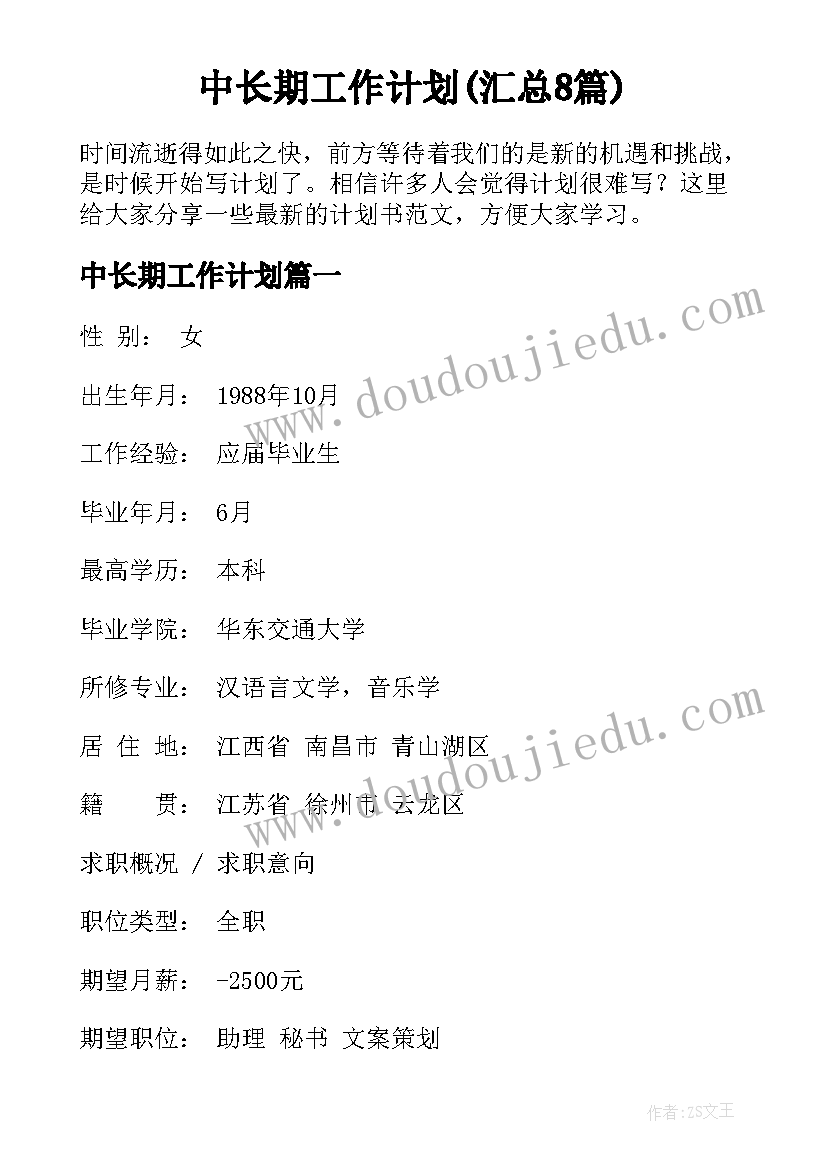 中长期工作计划(汇总8篇)