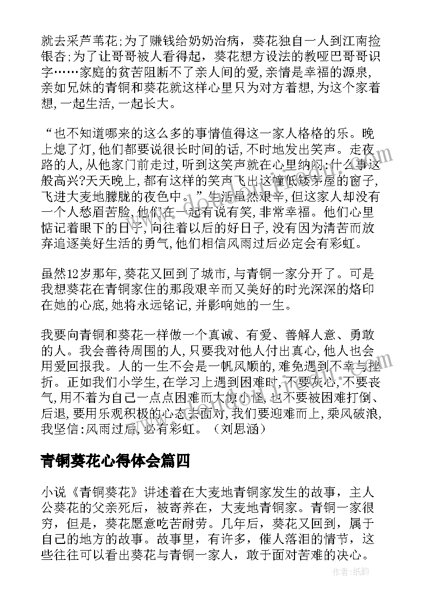 2023年青铜葵花心得体会(精选8篇)