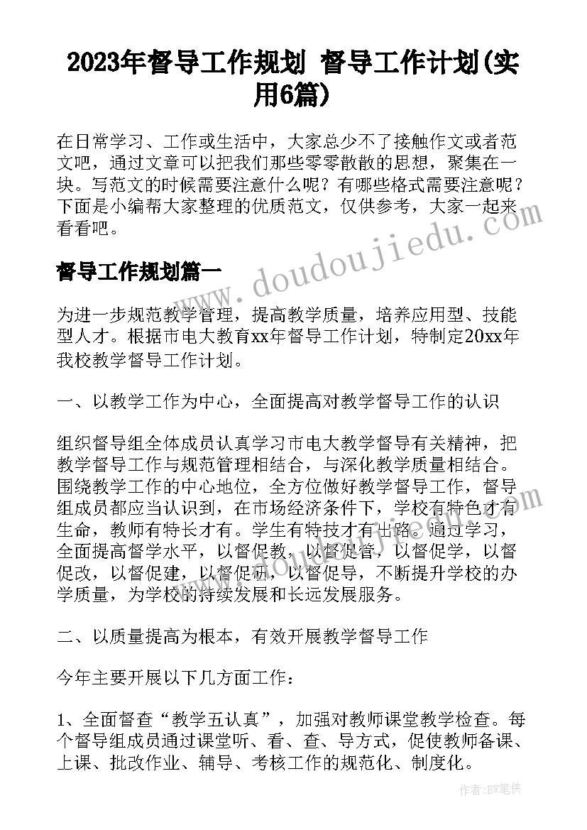 2023年督导工作规划 督导工作计划(实用6篇)