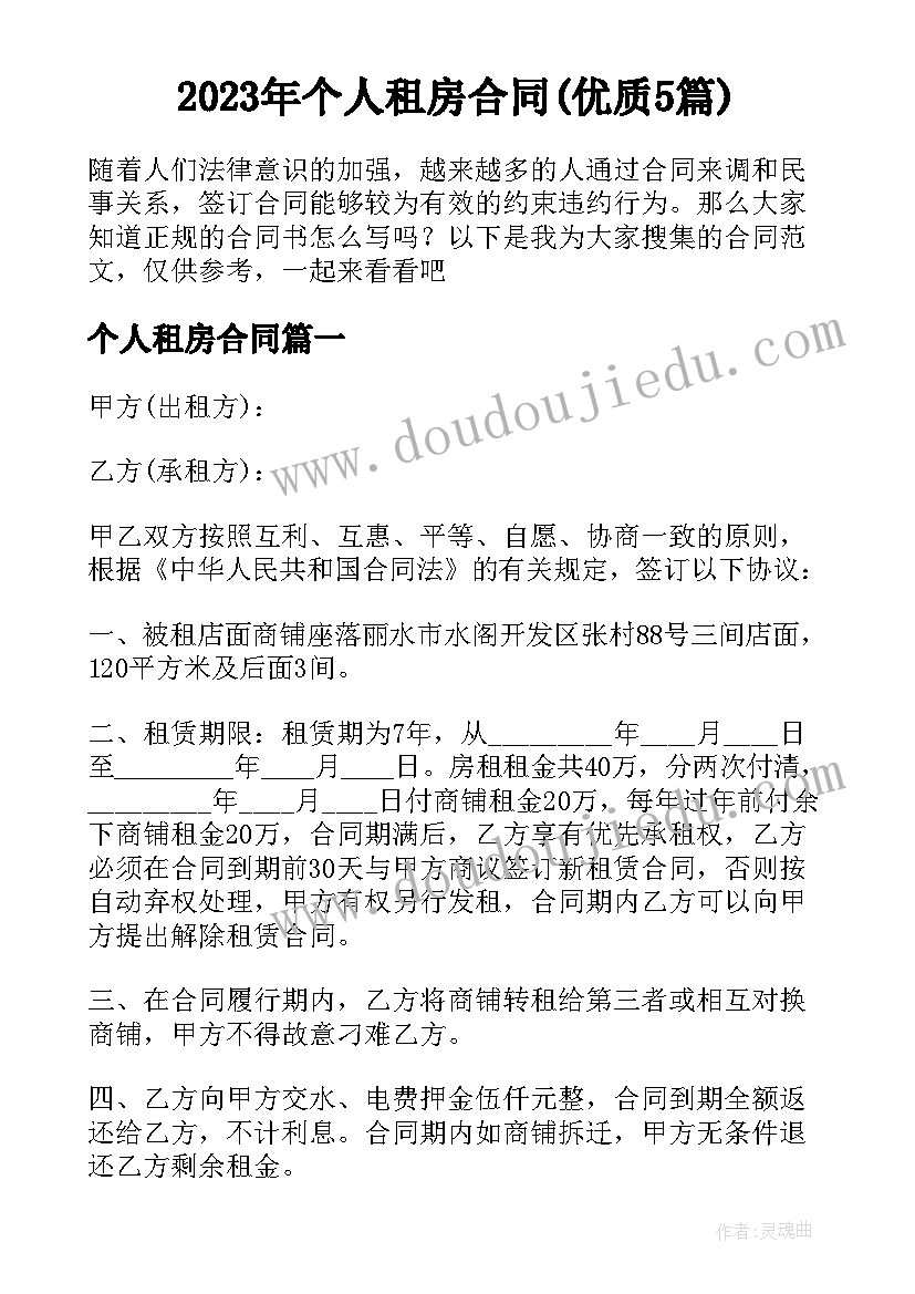 2023年个人租房合同(优质5篇)