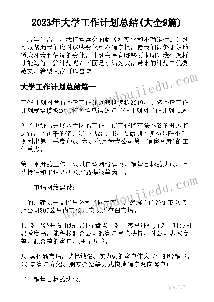 2023年大学工作计划总结(大全9篇)