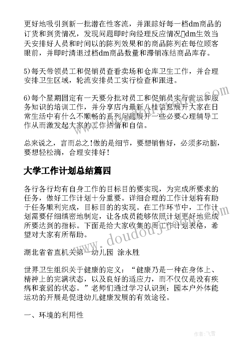 2023年大学工作计划总结(大全9篇)