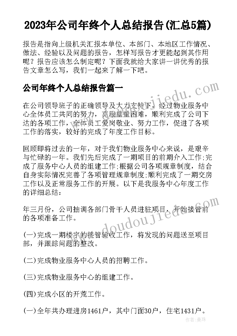 2023年公司年终个人总结报告(汇总5篇)