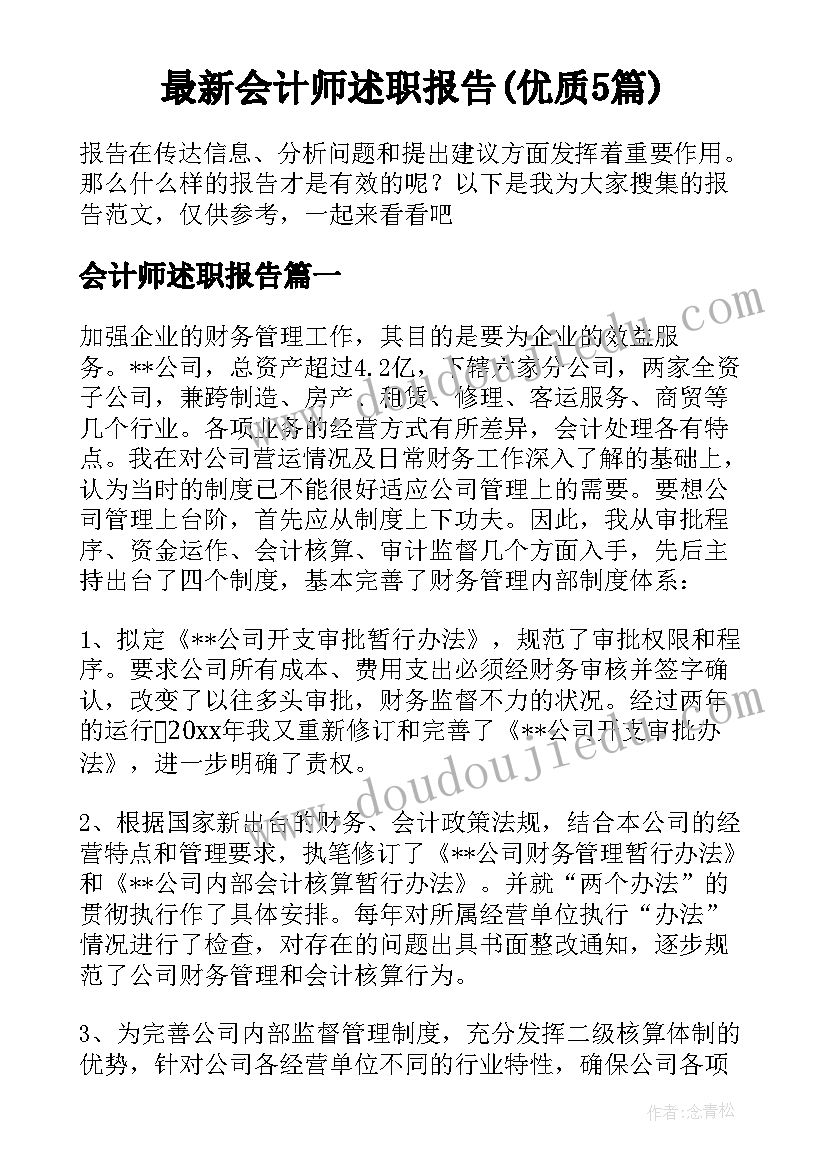 最新会计师述职报告(优质5篇)