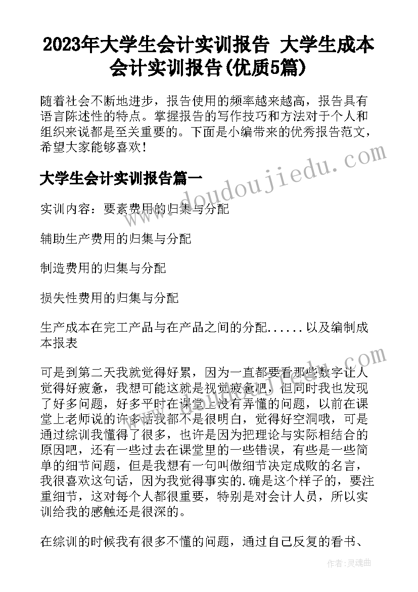 2023年大学生会计实训报告 大学生成本会计实训报告(优质5篇)