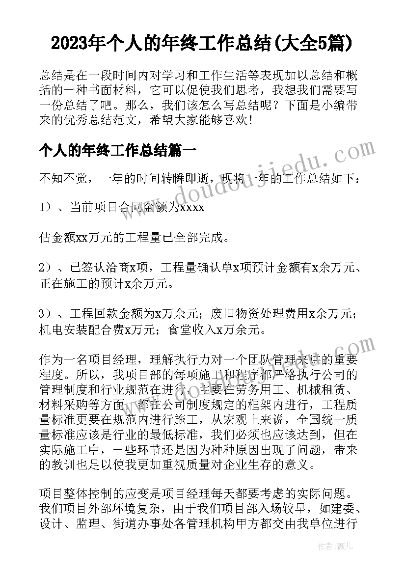 2023年个人的年终工作总结(大全5篇)