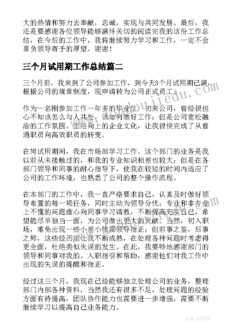 2023年三个月试用期工作总结(实用10篇)