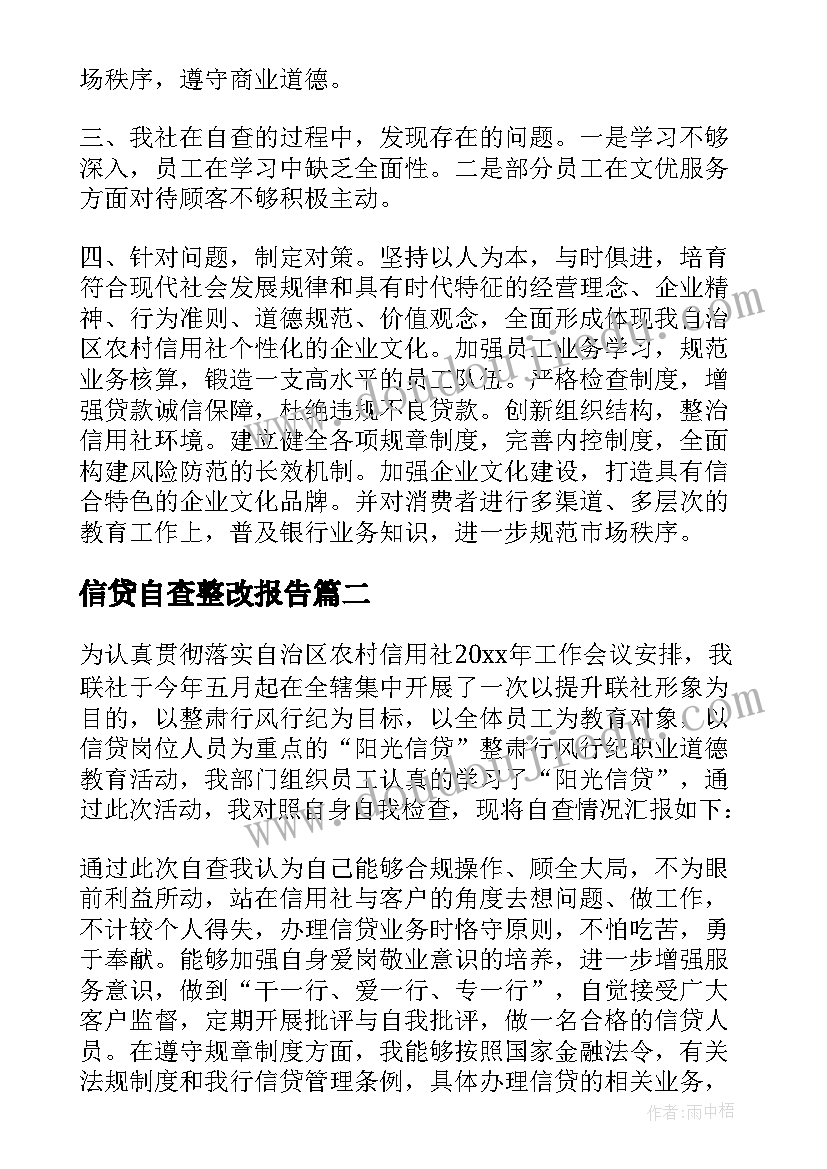 信贷自查整改报告(通用5篇)