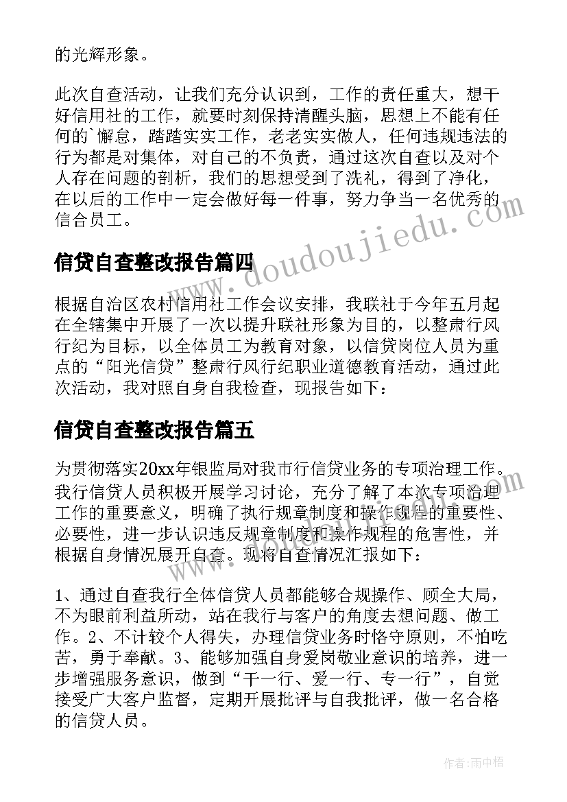 信贷自查整改报告(通用5篇)