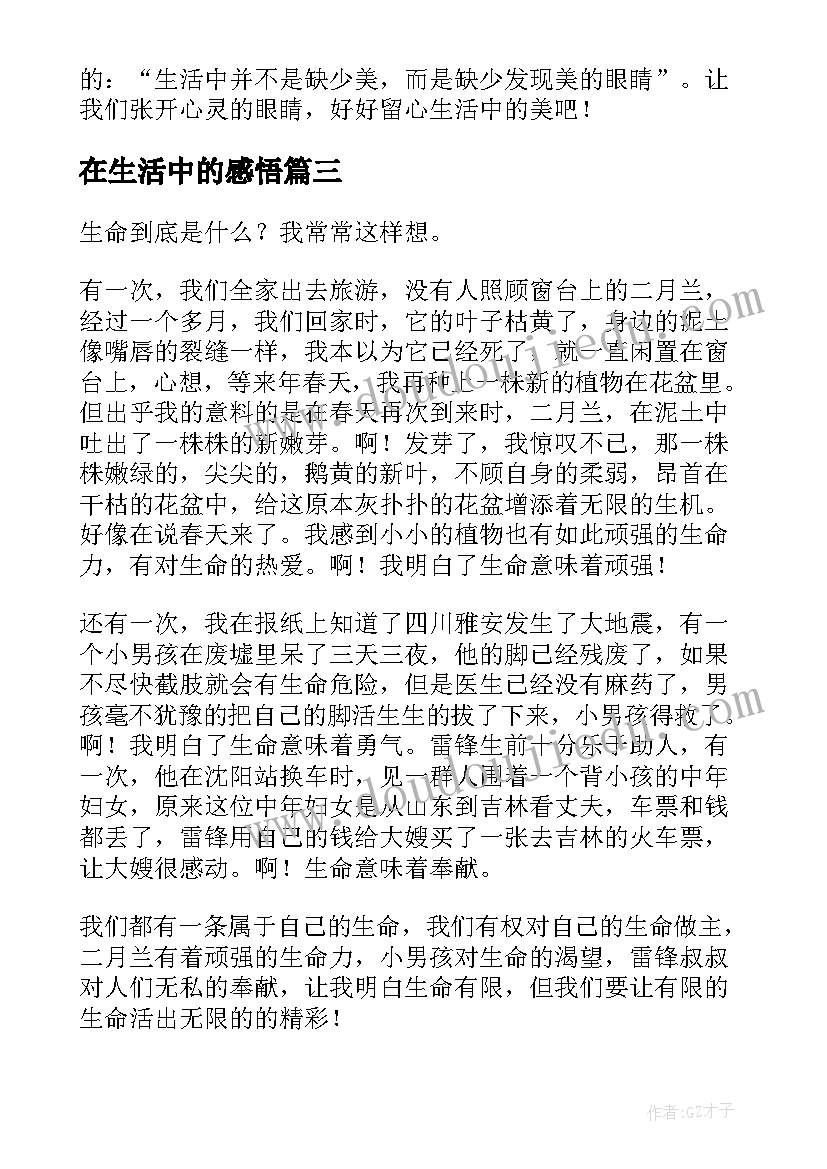 最新在生活中的感悟(精选5篇)