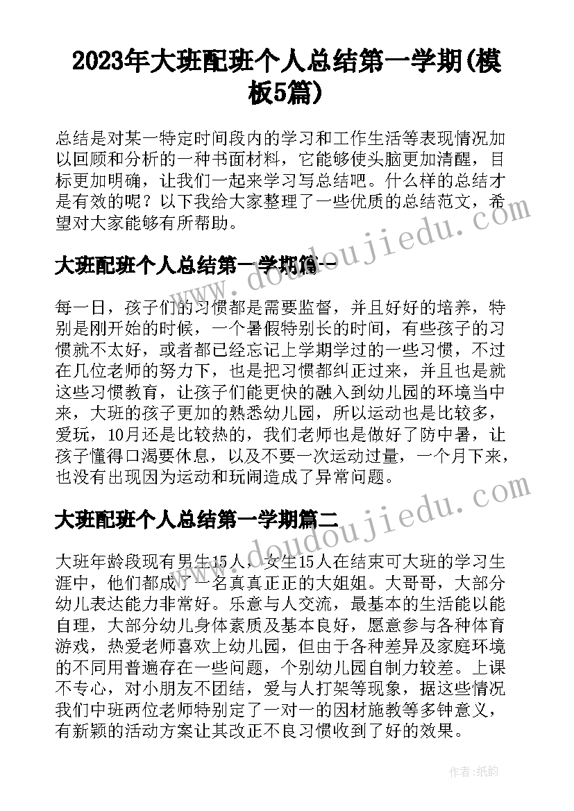 2023年大班配班个人总结第一学期(模板5篇)