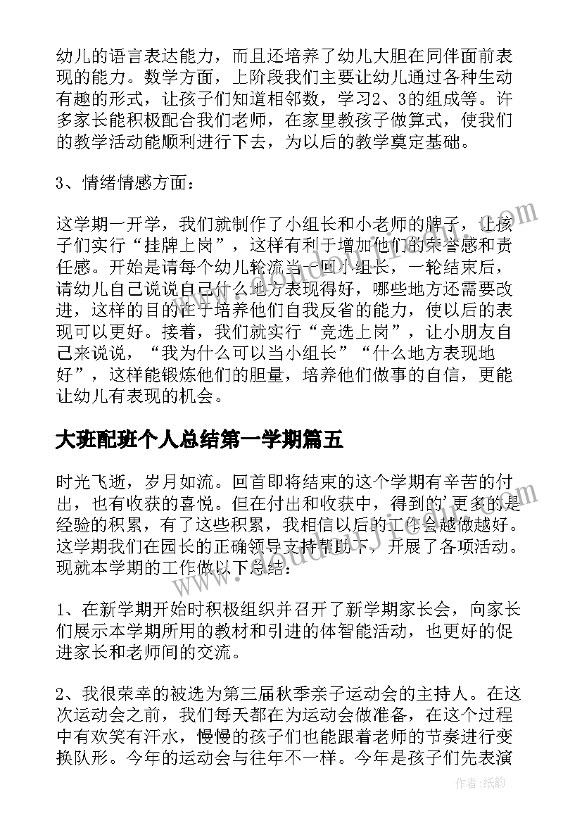 2023年大班配班个人总结第一学期(模板5篇)