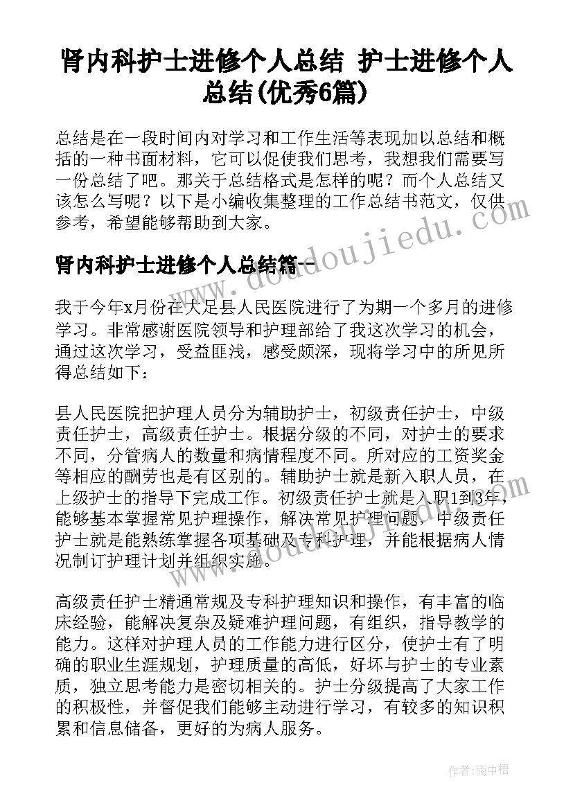 肾内科护士进修个人总结 护士进修个人总结(优秀6篇)