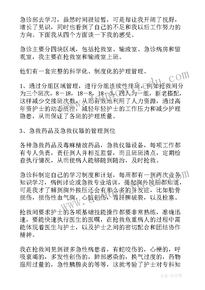 肾内科护士进修个人总结 护士进修个人总结(优秀6篇)