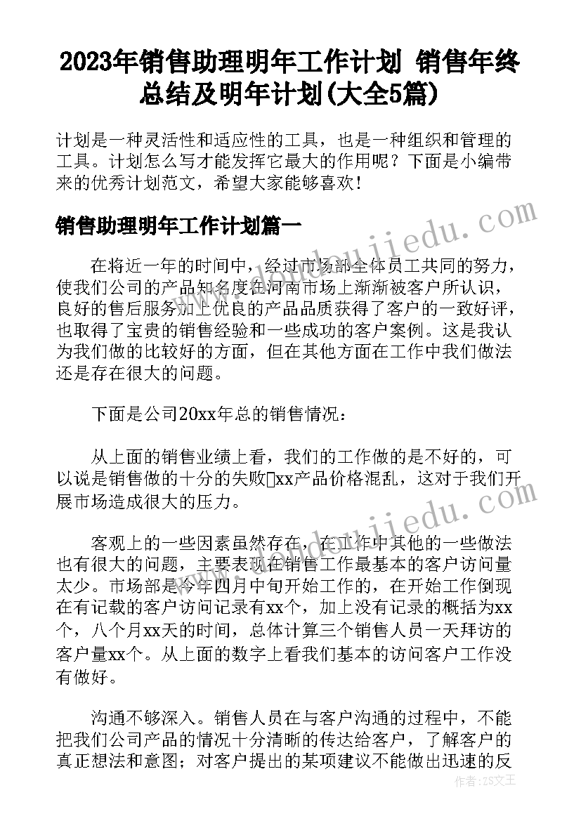 2023年销售助理明年工作计划 销售年终总结及明年计划(大全5篇)