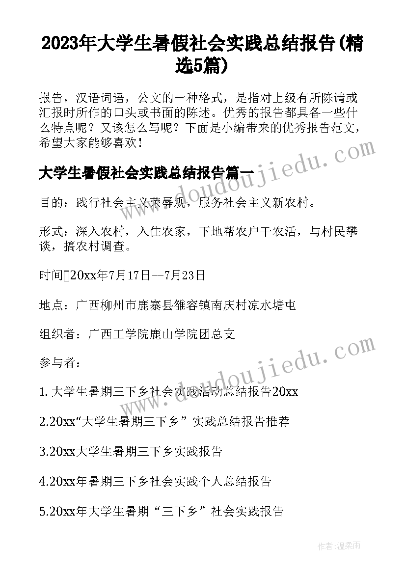 2023年大学生暑假社会实践总结报告(精选5篇)