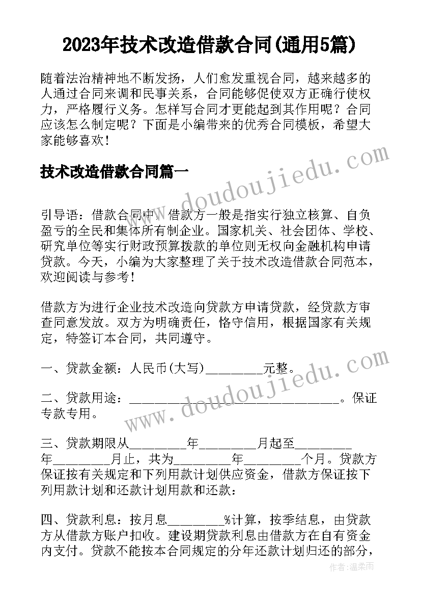 2023年技术改造借款合同(通用5篇)