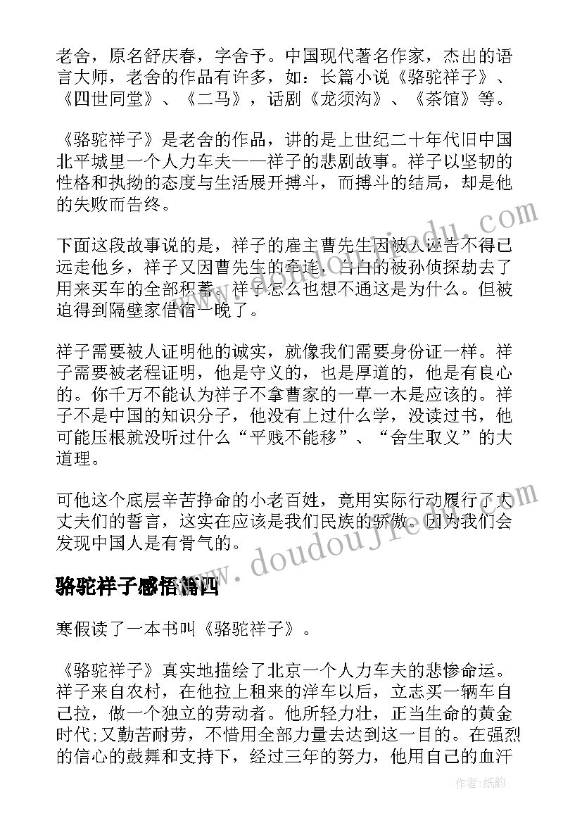 2023年骆驼祥子感悟 骆驼祥子读后感悟(实用9篇)