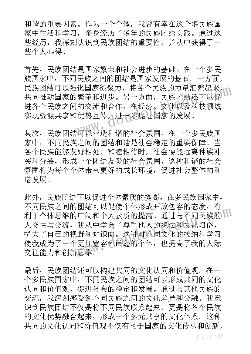 2023年民族团结个人总结(汇总5篇)