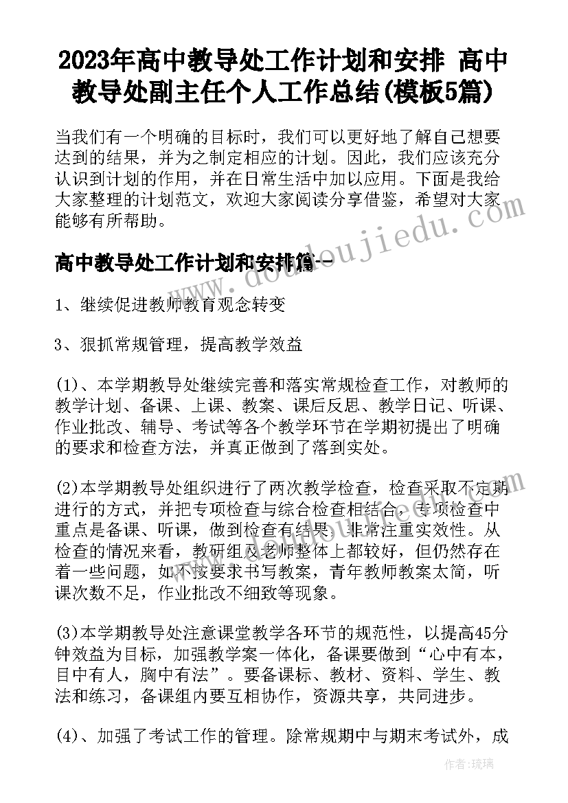 2023年高中教导处工作计划和安排 高中教导处副主任个人工作总结(模板5篇)