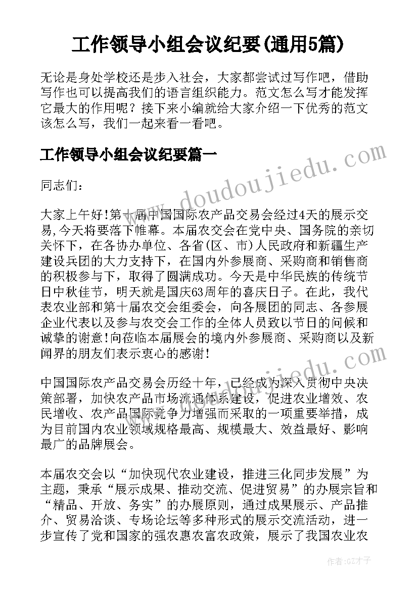 工作领导小组会议纪要(通用5篇)