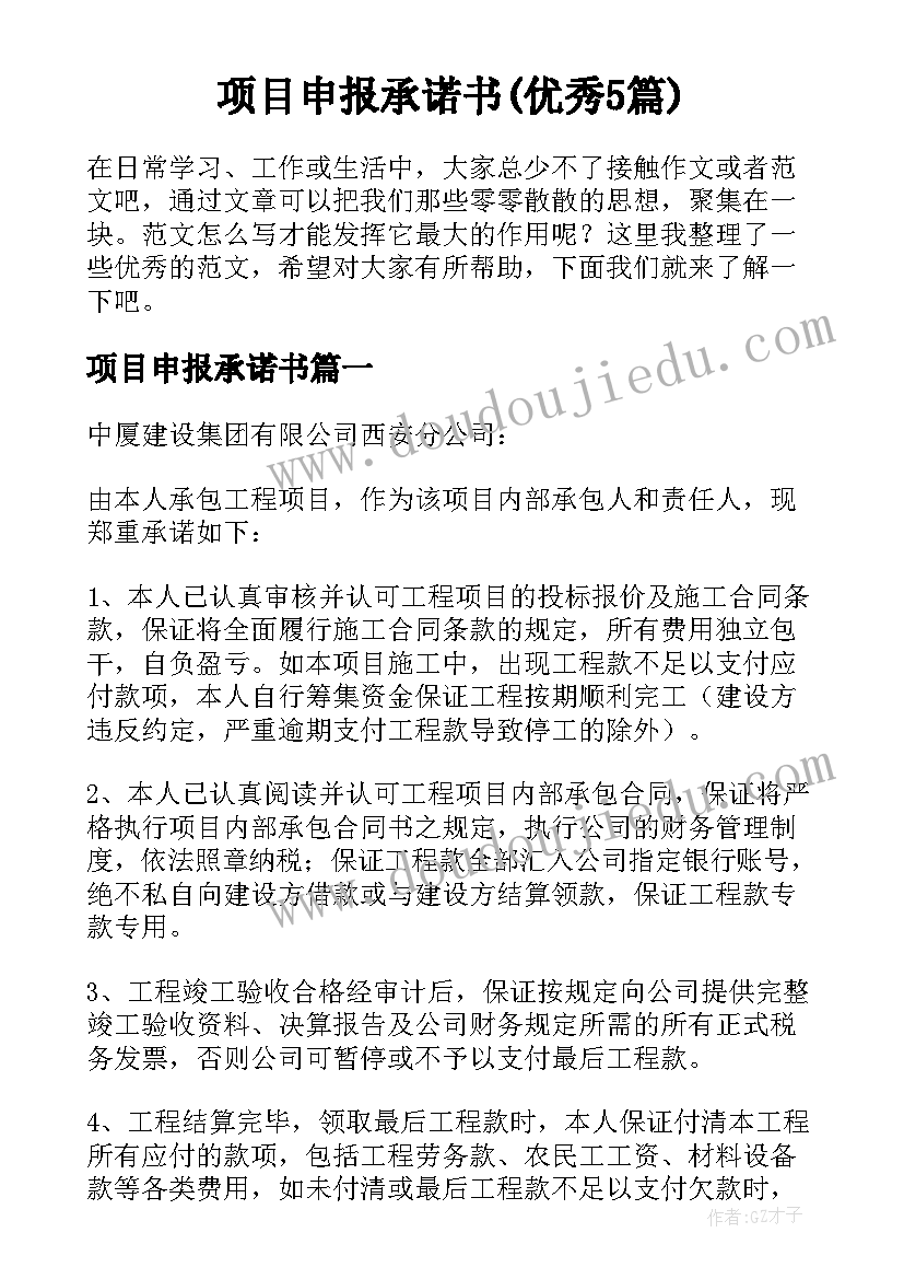 项目申报承诺书(优秀5篇)