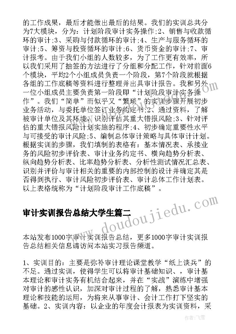 审计实训报告总结大学生(汇总6篇)