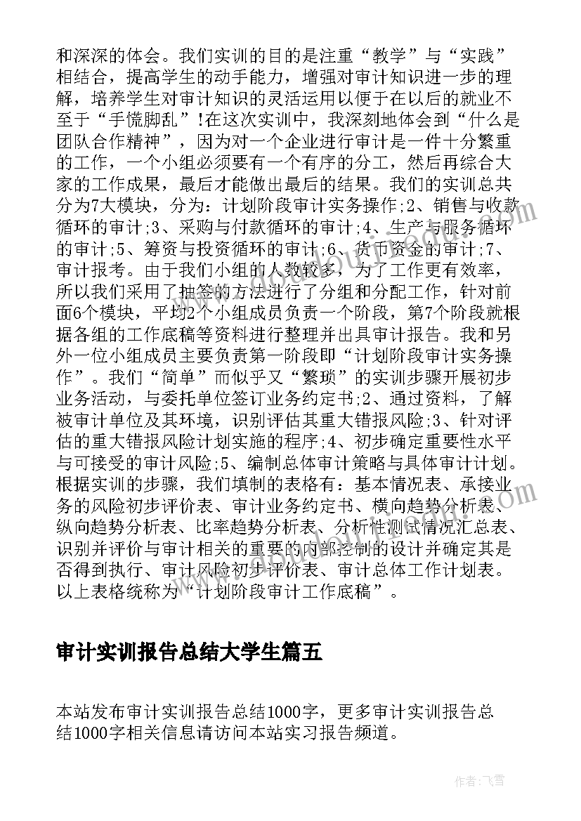 审计实训报告总结大学生(汇总6篇)