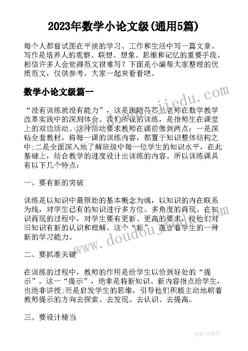 2023年数学小论文级(通用5篇)