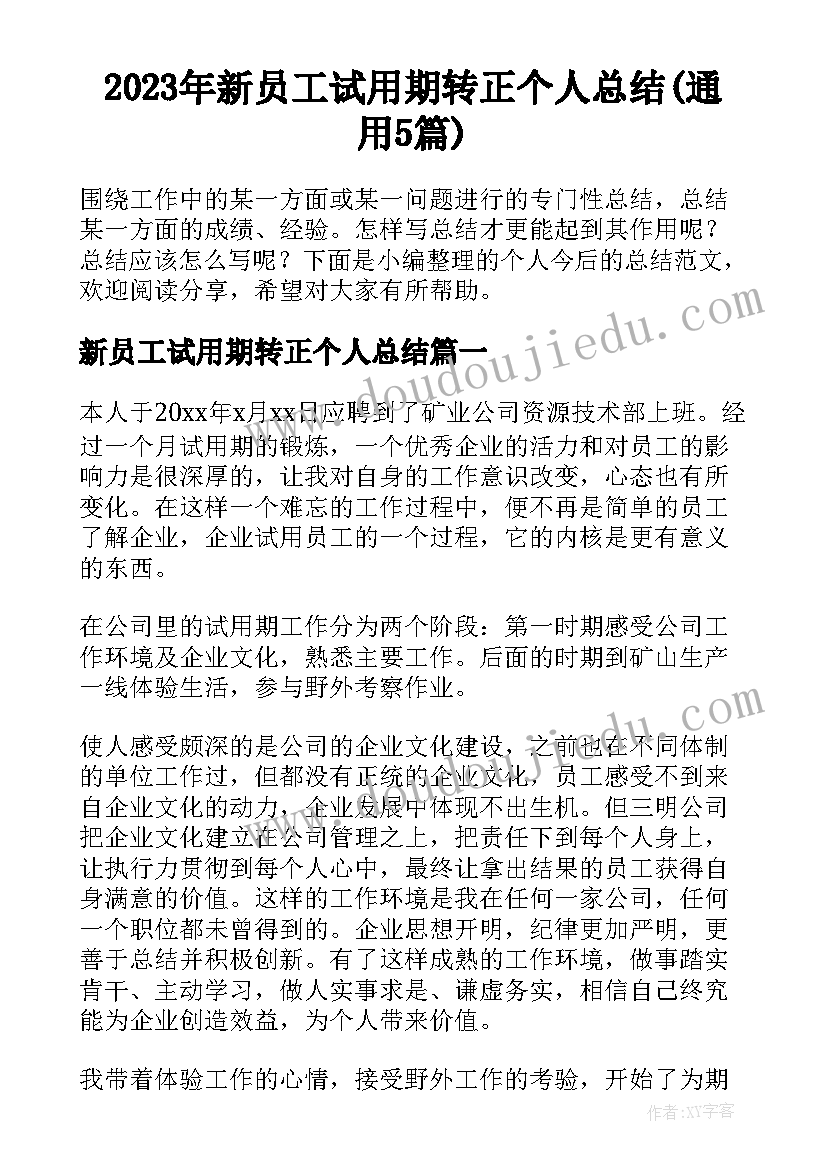 2023年新员工试用期转正个人总结(通用5篇)