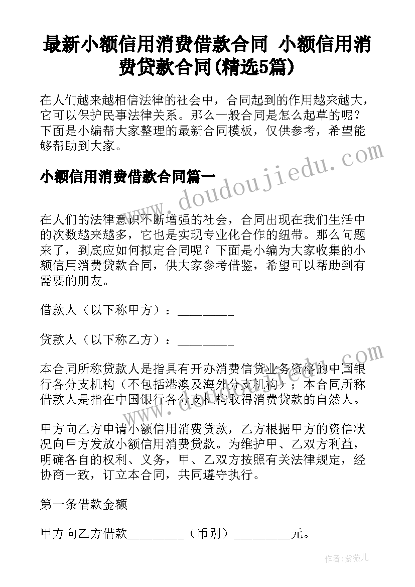 最新小额信用消费借款合同 小额信用消费贷款合同(精选5篇)