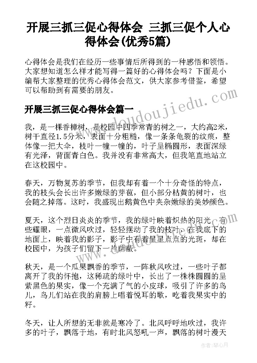 开展三抓三促心得体会 三抓三促个人心得体会(优秀5篇)