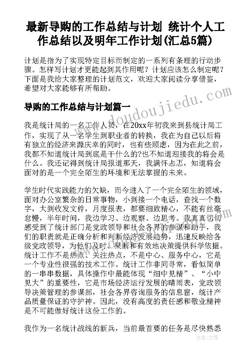 最新导购的工作总结与计划 统计个人工作总结以及明年工作计划(汇总5篇)