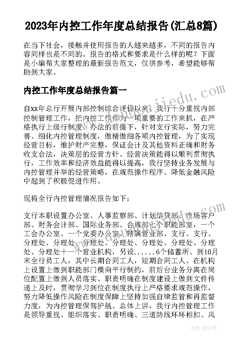 2023年内控工作年度总结报告(汇总8篇)