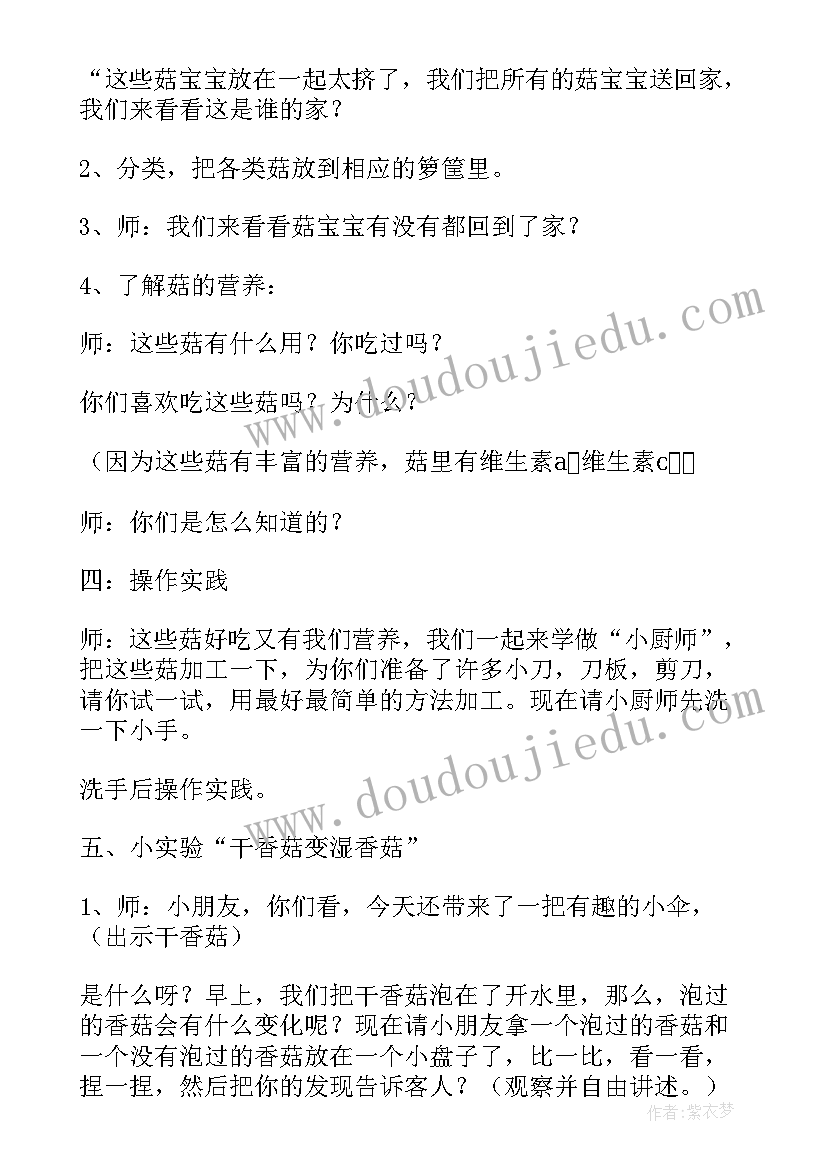 2023年大班科学各种各样的树叶教案反思 大班科学各种各样的伞教案及反思(优质5篇)