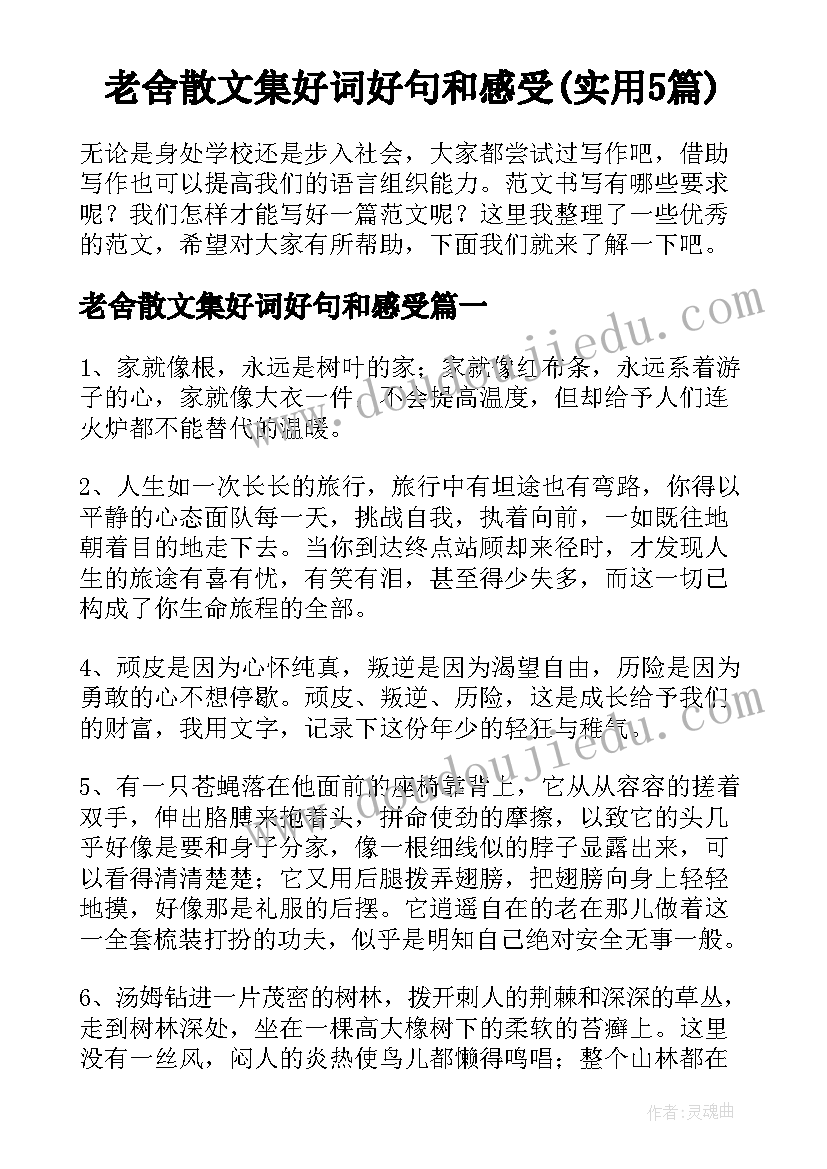 老舍散文集好词好句和感受(实用5篇)