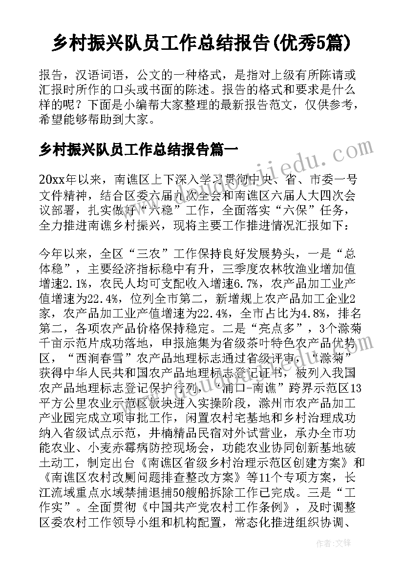 乡村振兴队员工作总结报告(优秀5篇)