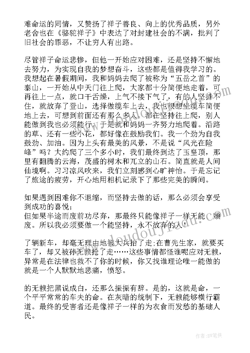 最新读骆驼祥子心得体会 读骆驼祥子阅读心得(通用6篇)