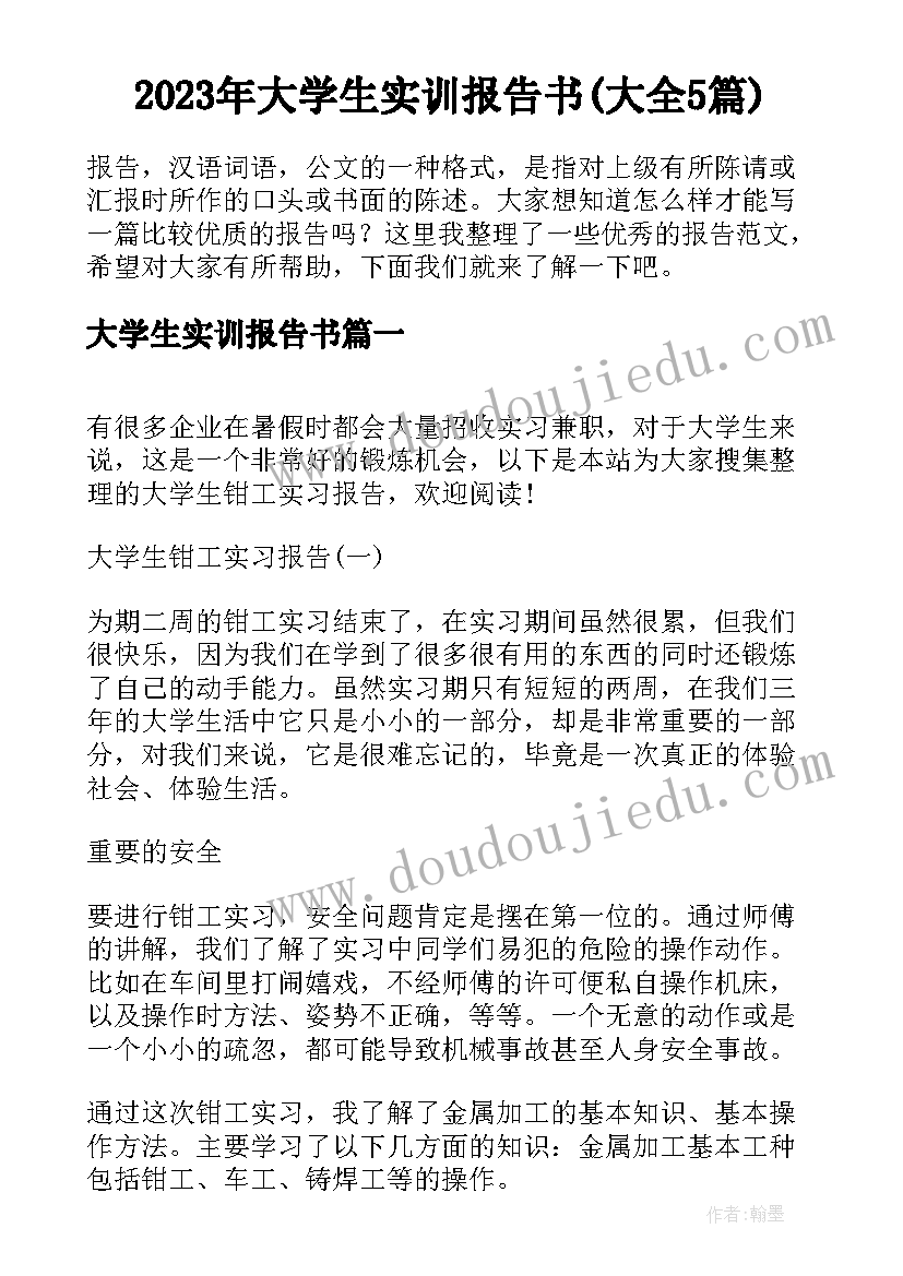 2023年大学生实训报告书(大全5篇)