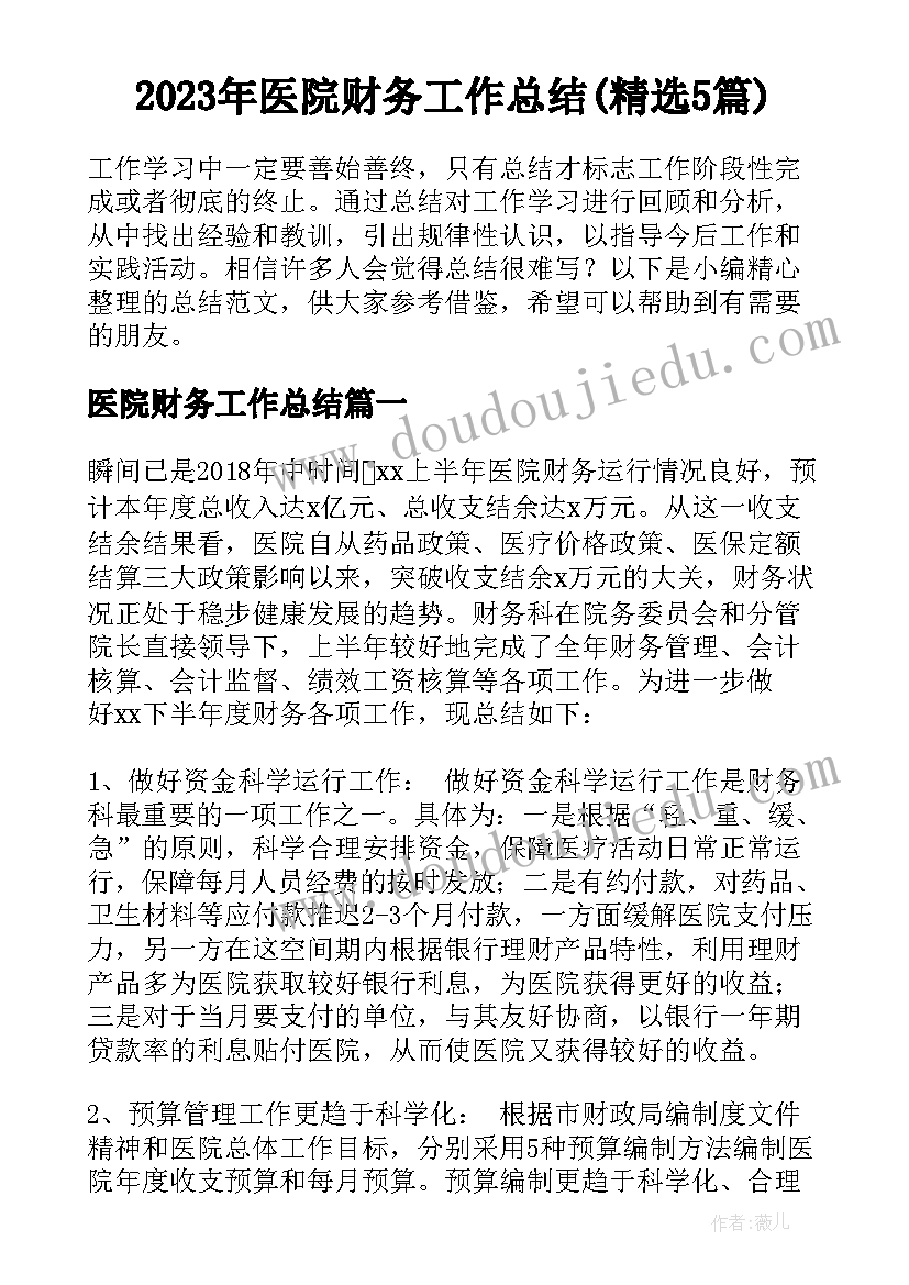 2023年医院财务工作总结(精选5篇)