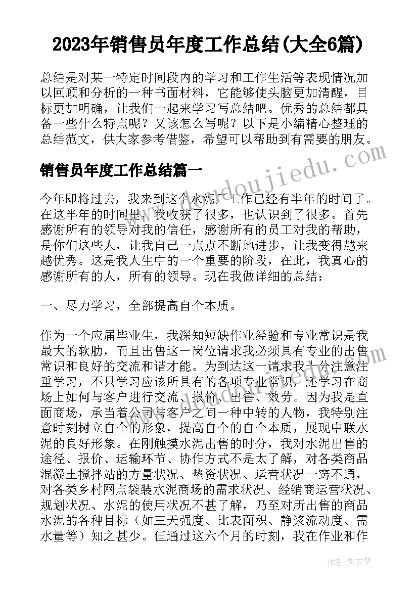 2023年销售员年度工作总结(大全6篇)