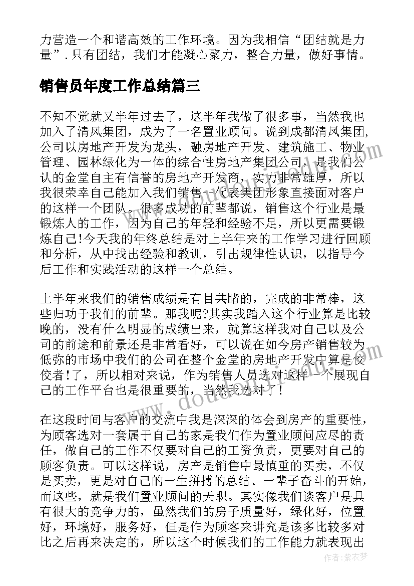 2023年销售员年度工作总结(大全6篇)