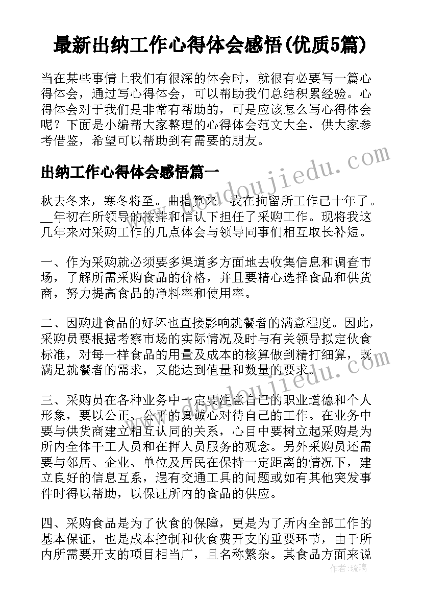 最新出纳工作心得体会感悟(优质5篇)